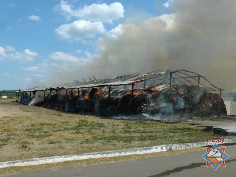 В Житковичском районе сгорели 55 тонн сена. Спасатели предполагают поджог